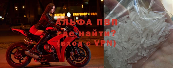молекула духа Алексин
