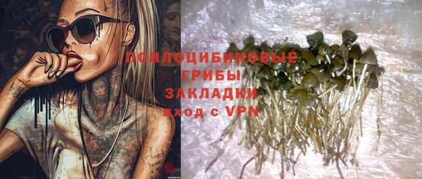молекула духа Алексин
